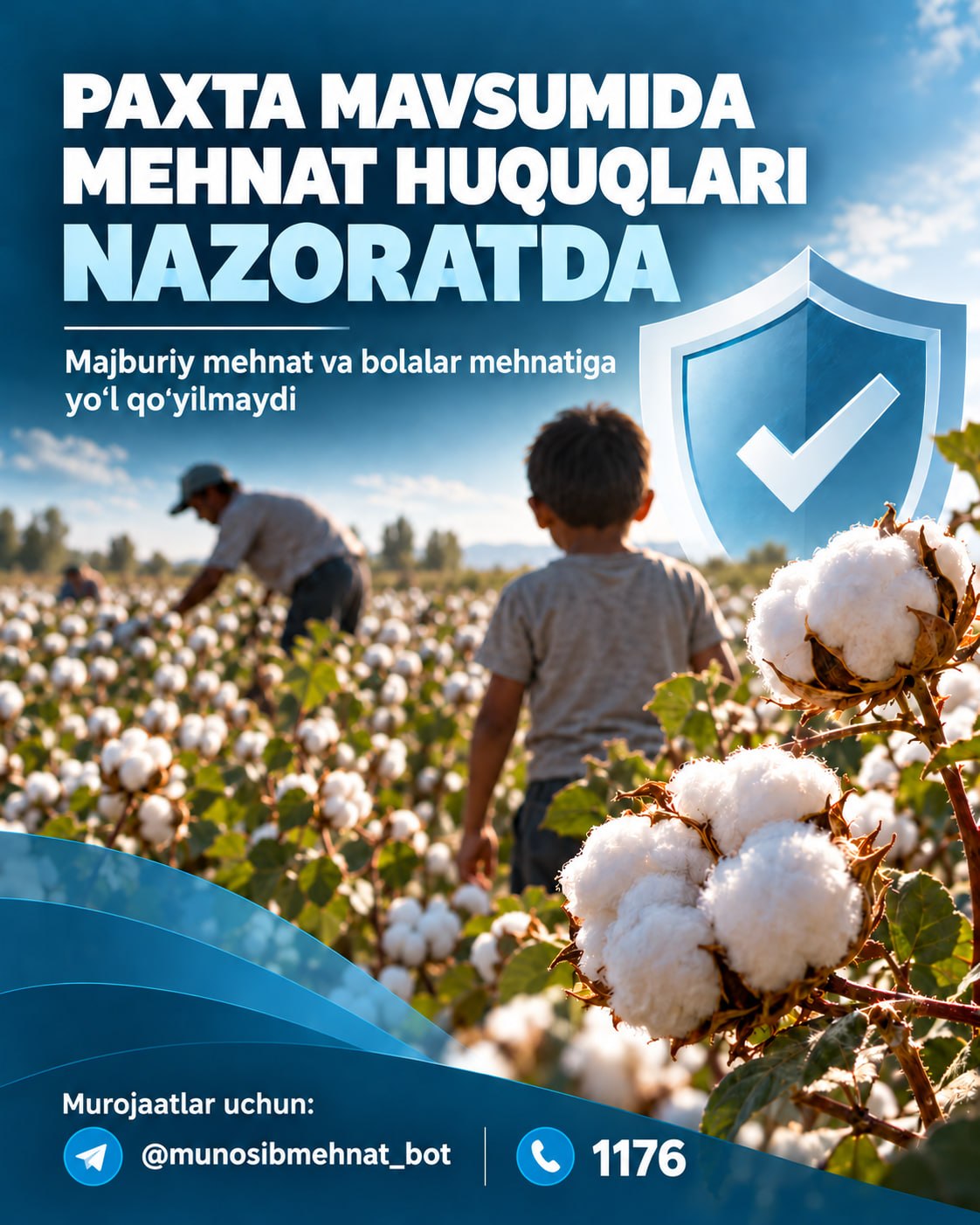 Paxta terimida majburiy va bolalar mehnatining oldini olish bo‘yicha monitoring boshlandi